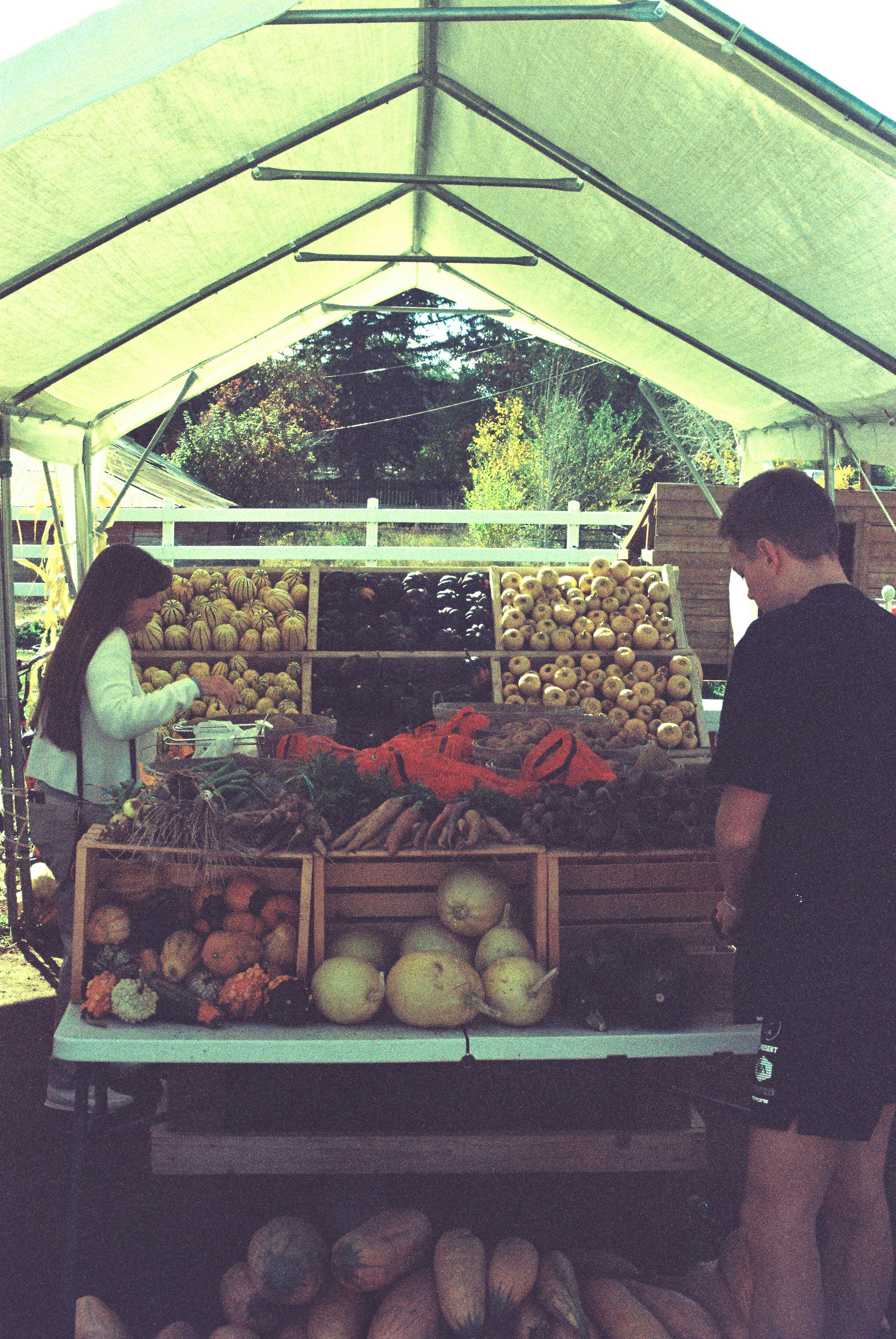 People shopping at a farmers market with fresh produce